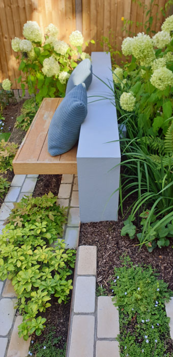 Bench and Hydrangea annabelle